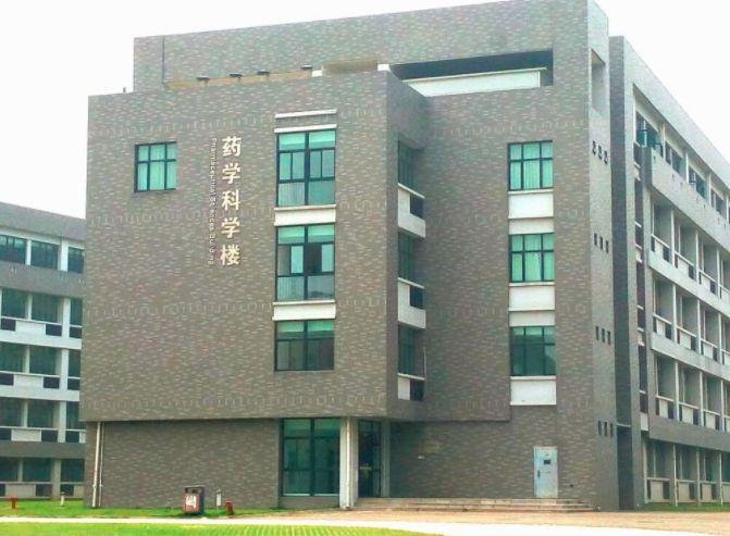 江蘇一本投檔線最新動態,時代坐標與教育航標