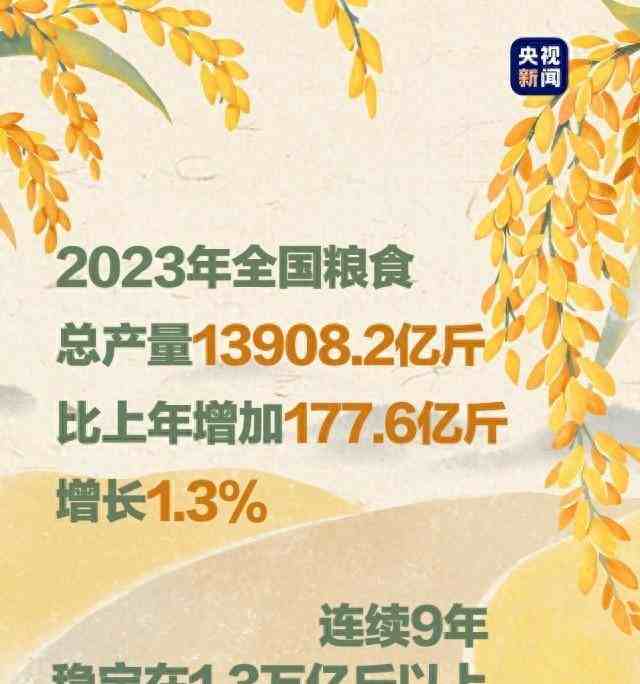 中國最新糧食產(chǎn)量背后的故事,稻田豐收與家的溫暖