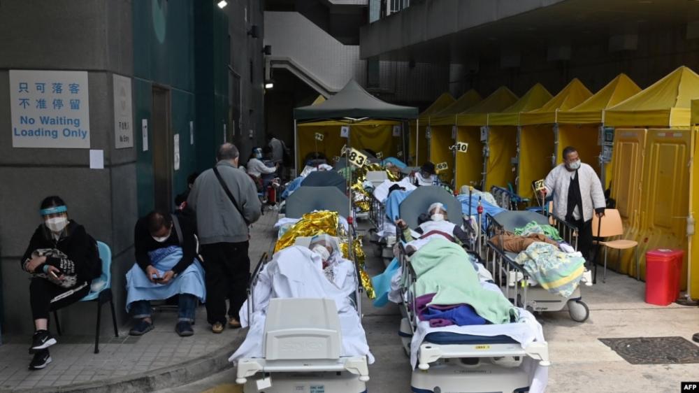 國內最新疫情動態深度分析,11月26日報告更新