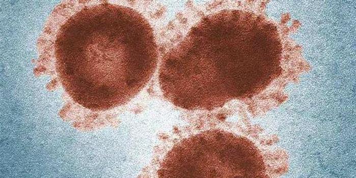 新冠肺炎17日最新動態(tài),變化中的學(xué)習(xí)之旅,自信與成就感的正能量之源