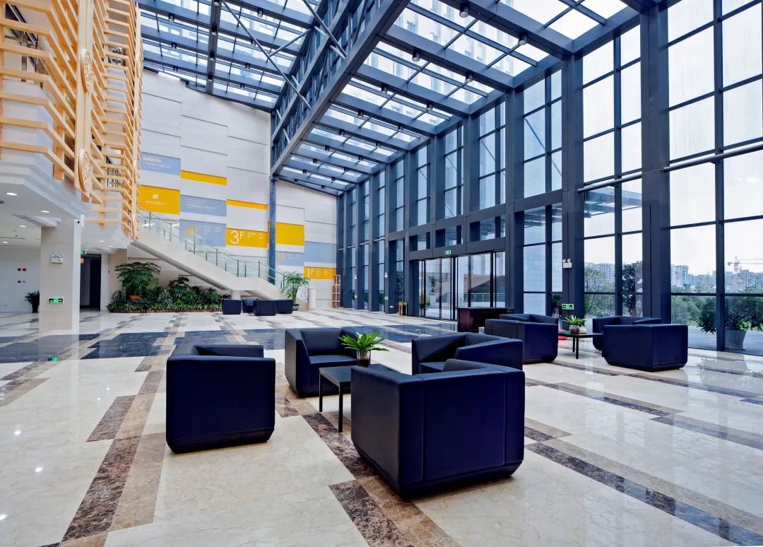 溫州龍灣最新圖書館,小巷中的寶藏,知識的探索樂園