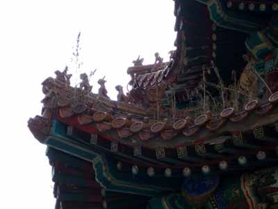 小巷深處的獨特風味,最新飛檐一行探秘