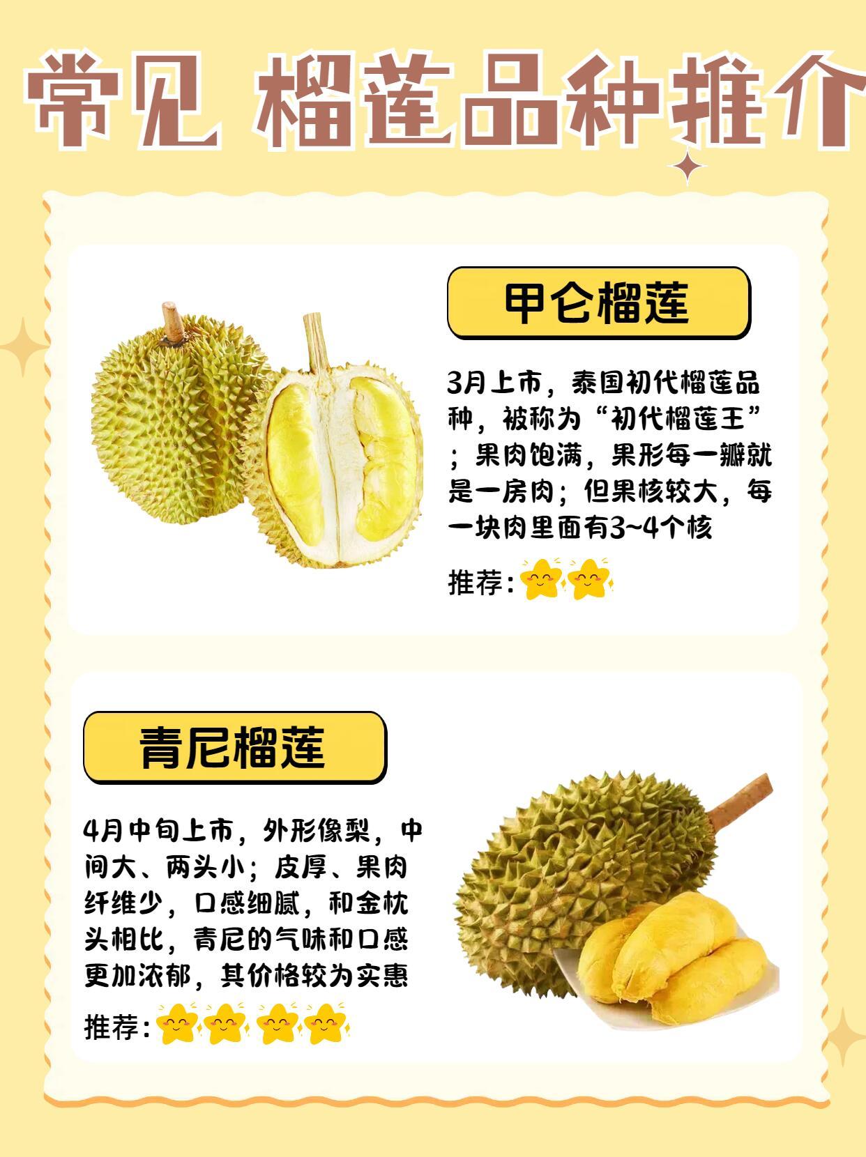 最新榴蓮手機發布，愛的連結與日常趣事的必備良伴