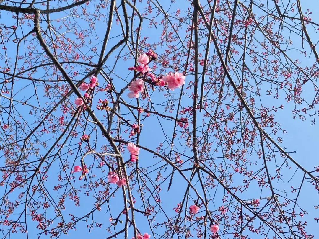 廈門8月天氣超詳細(xì)報(bào)告,最新氣象信息???