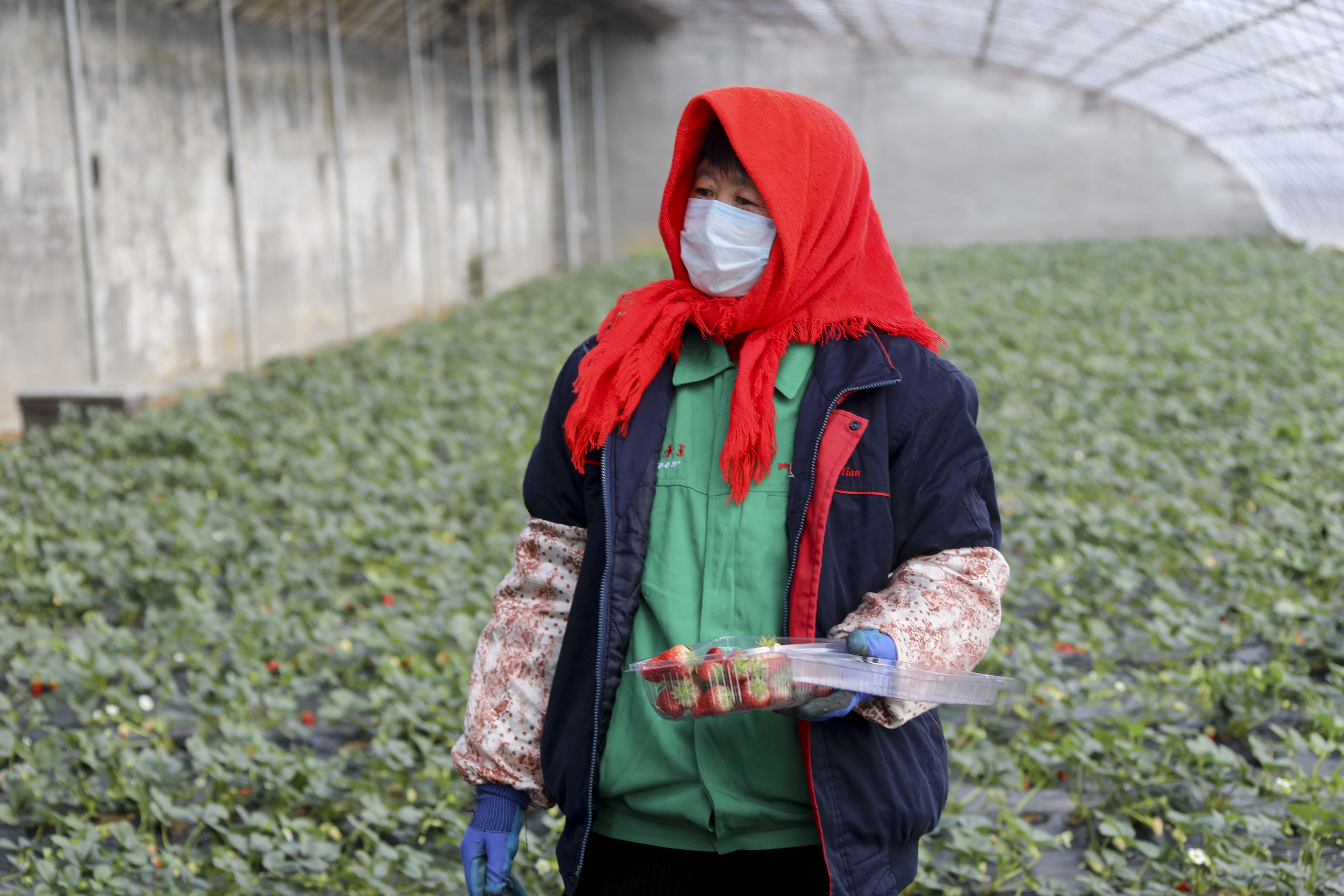 青島疫情下的領導智慧，處理疫情與家的溫暖并蓄展現領導力