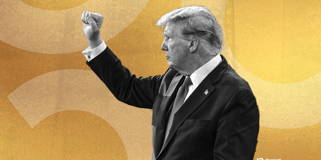 美國特朗普最新選舉揭秘，小巷背后的獨特故事與探秘之旅