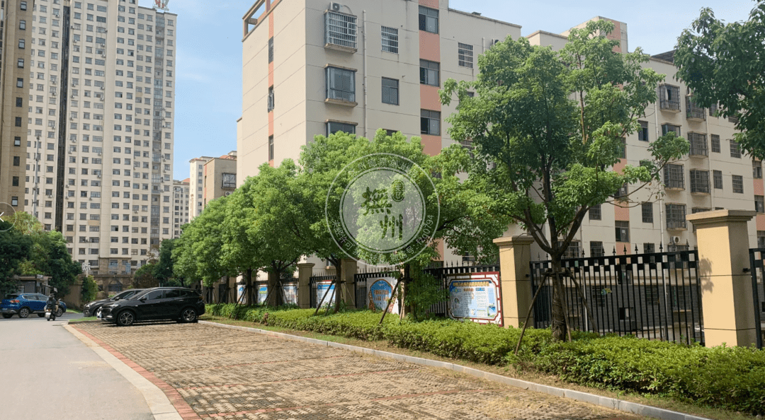 臨川華府最新動態更新,最新消息匯總