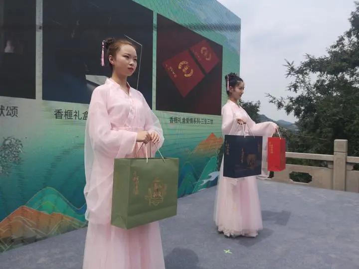 紹興交通事故最新情況及應對解決步驟指南,初學者與進階用戶的必備指南