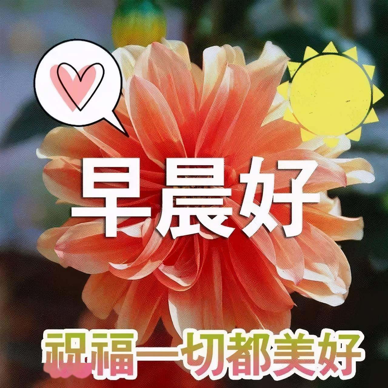 最新早上好祝福詞,活力啟程,自信擁抱學習與變化的每一天