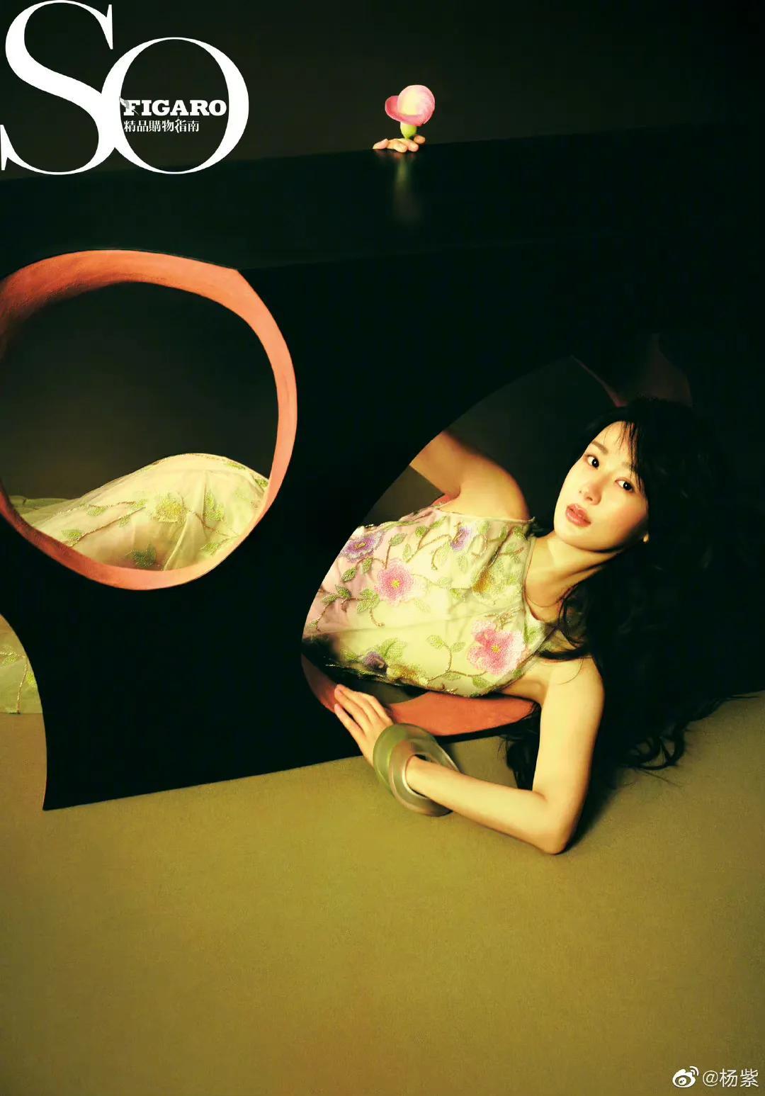 楊紫最新雜志購買指南，啟程尋找自然美景的旅行之旅