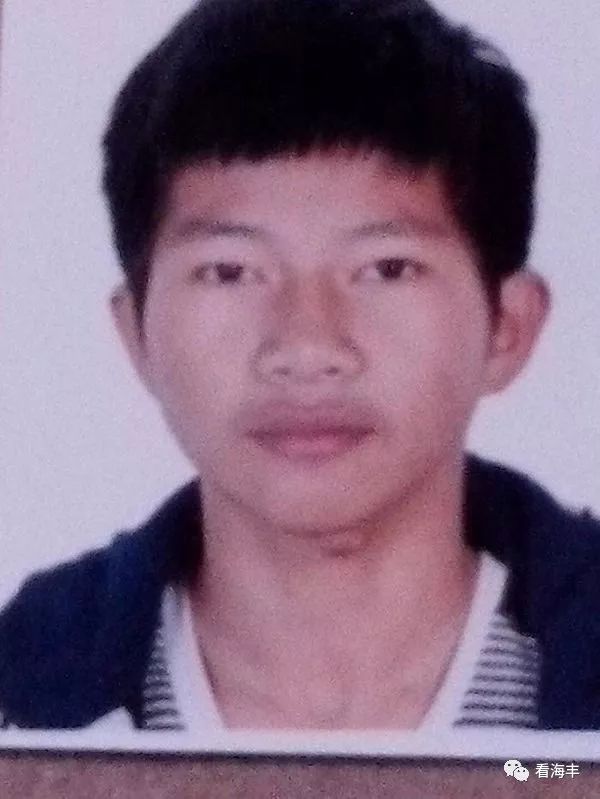 城市發(fā)展與民生改善的最新動態(tài),市民生活的脈搏與步伐更新